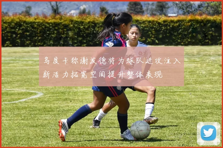 乌度卡称谢泼德将为球队进攻注入新活力拓宽空间提升整体表现