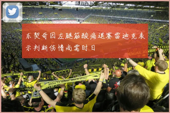 东契奇因左腿筋酸痛退赛雷迪克表示判断伤情尚需时日